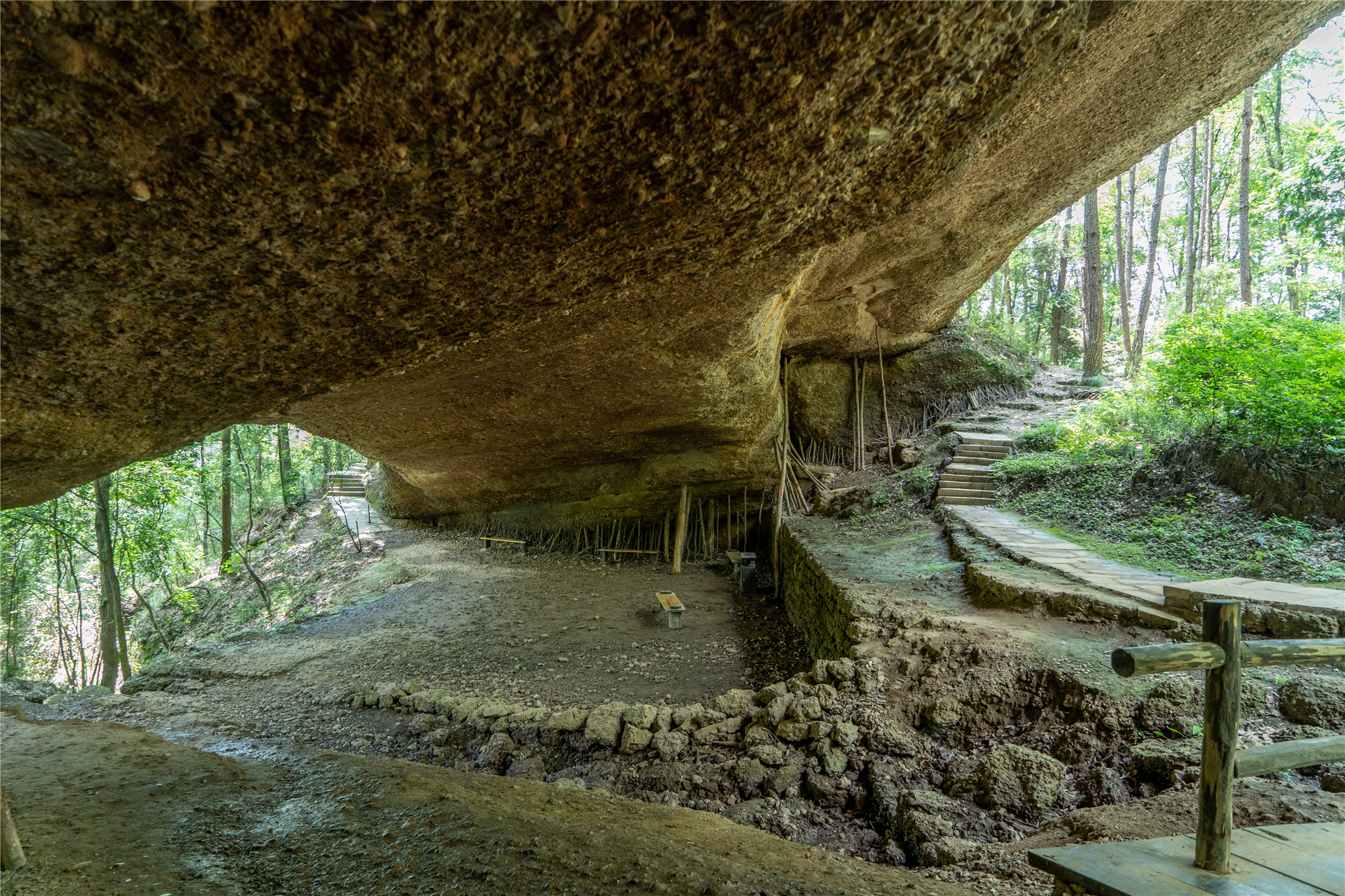 DSC08596-修改_副本